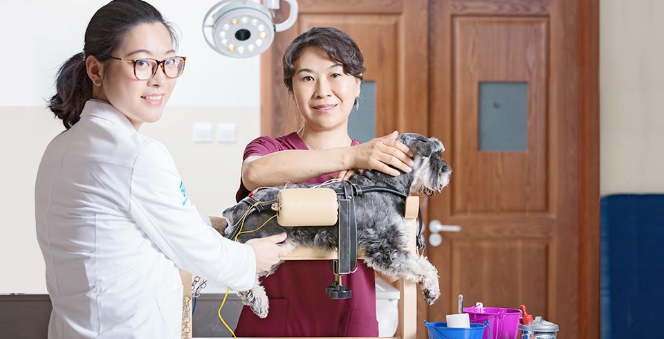 Tencent leads over $100m funding in pet clinic operator New Ruipeng