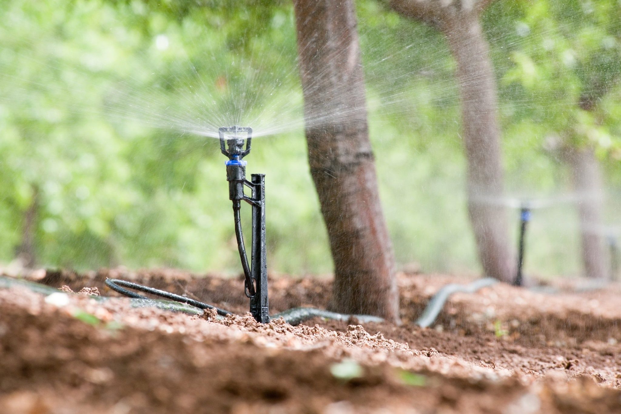 Temasek agrees to acquire Israeli micro-irrigation firm Rivulis