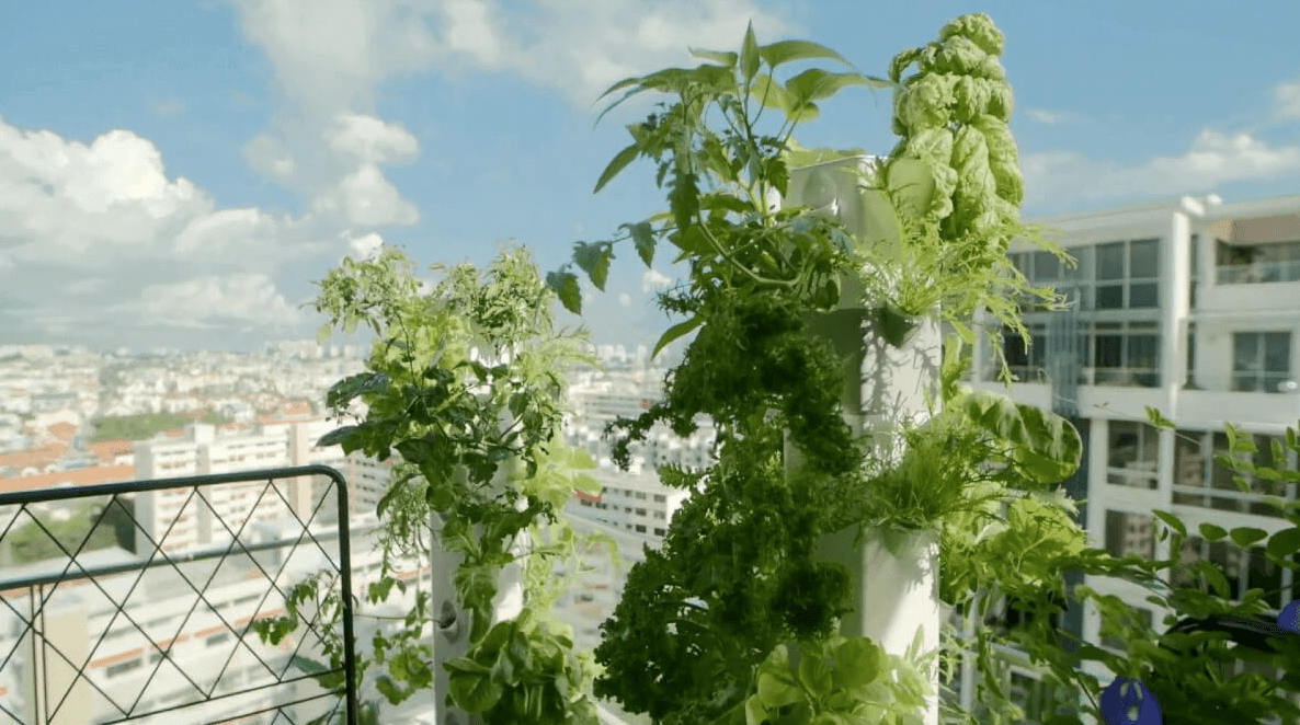 Sirius Venture leads $1m funding in SG's agri-garden tech startup Aerospring