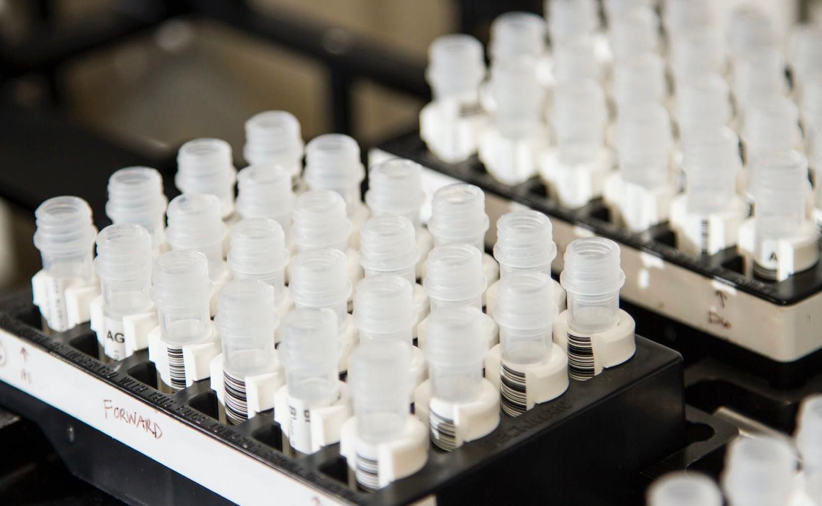 China's Decheng Capital looks to raise $650m for Global Life Sciences Fund IV