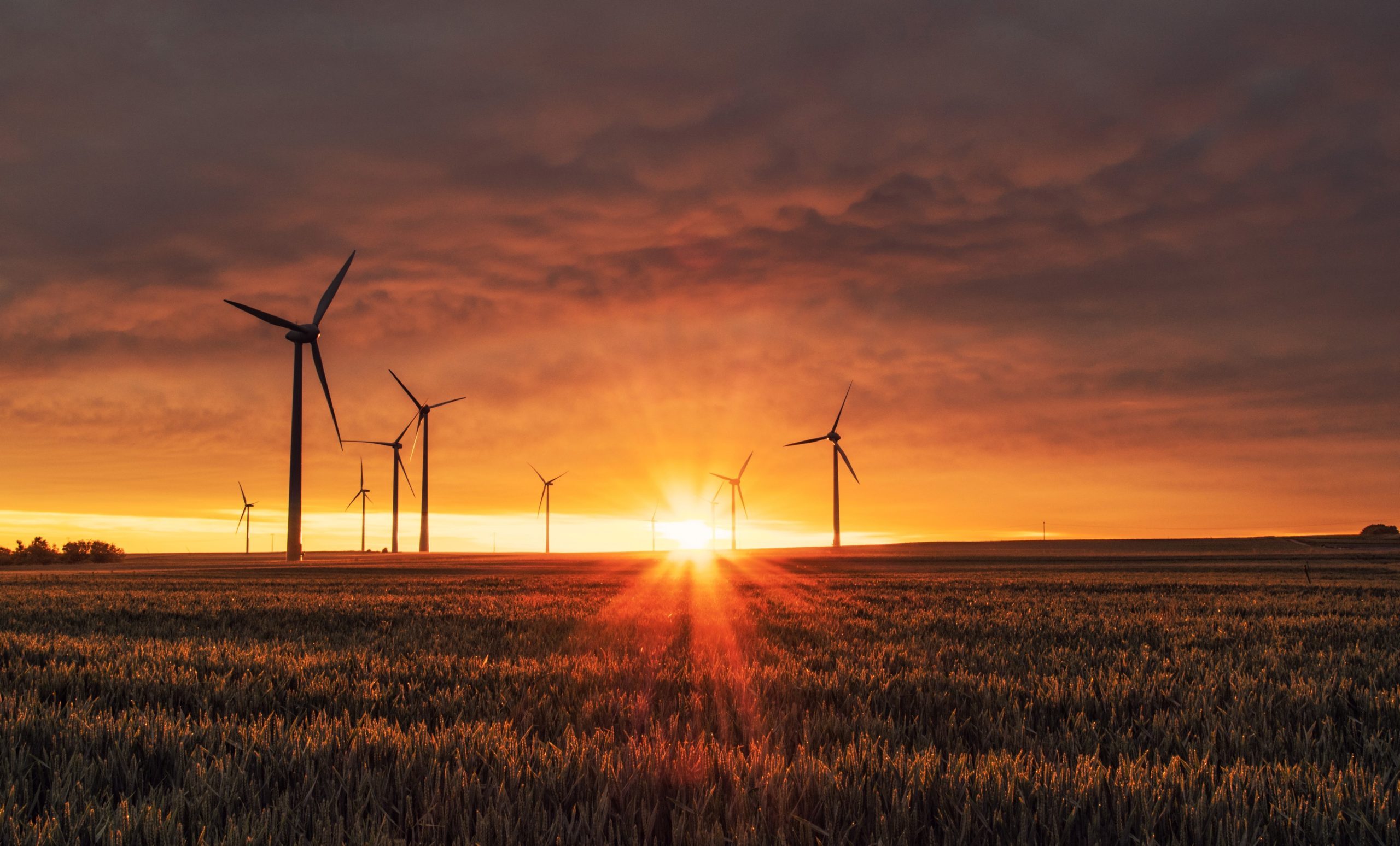 FMO likely to commit $15m to SUSI Partners' $250m Asia energy fund