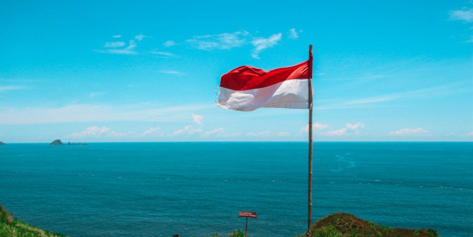 Indonesia's sovereign wealth fund to get $2b investment from US's DFC