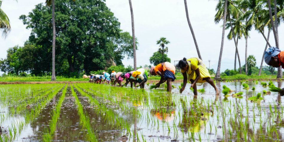Agritech startups are using modern tech to solve key problems in Indian agriculture