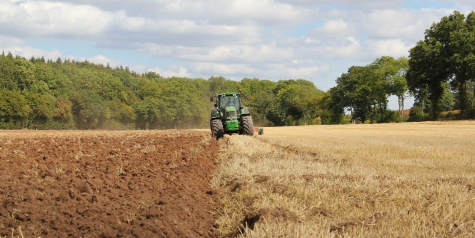 Temasek fund leads Series C round in CropIn, an Indian startup bringing AI to farms