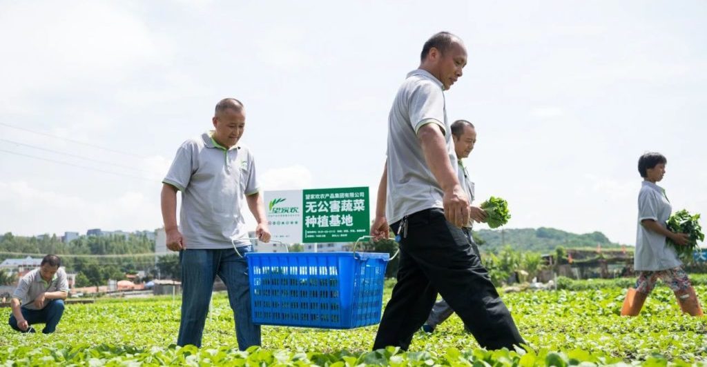 CPE leads $123m Series B+ round in Chinese agri-products group Wangjiahuan