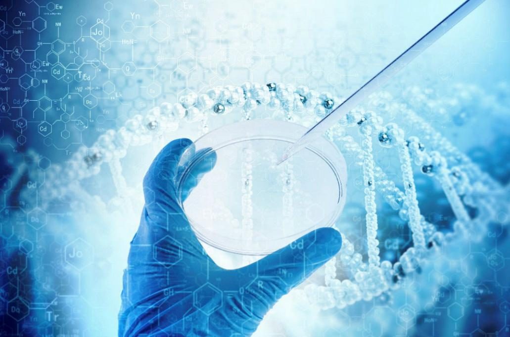 GIC-backed Chinese biotech firm Brii Biosciences files for HK IPO