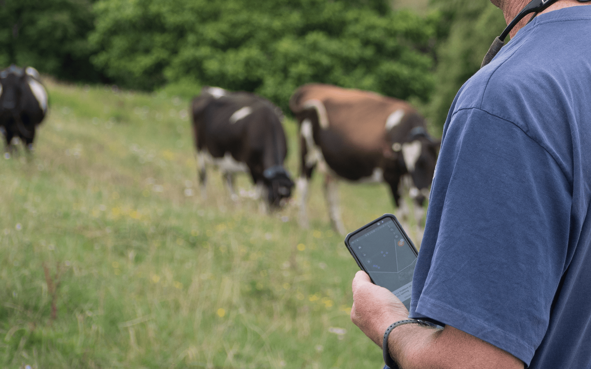 Blackbird Ventures leads $23m funding in NZ cattle management startup Halter