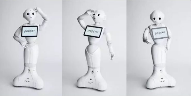 SoftBank's 2014 predictions of a new personal robot era now seem overly optimistic