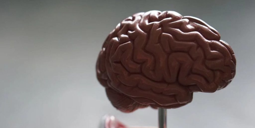 Boston-based digital brain health startup Linus raises $55m Series B round