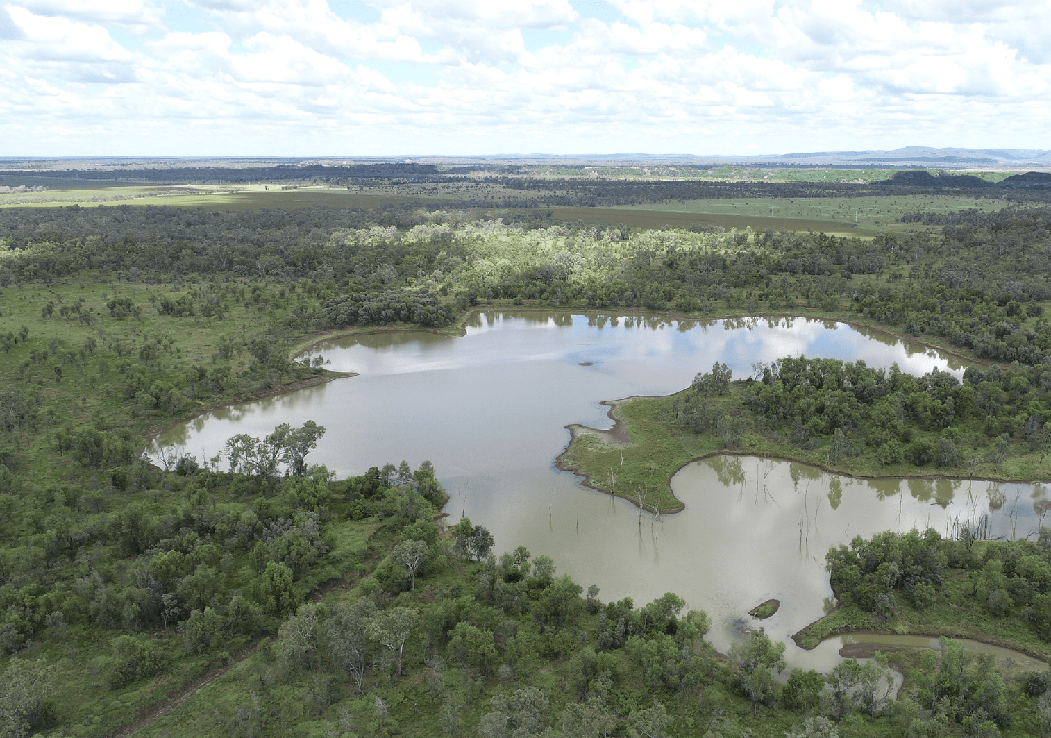 Hatcher+ partners Australia's Tiverton, SG's First Degree for agritech fund