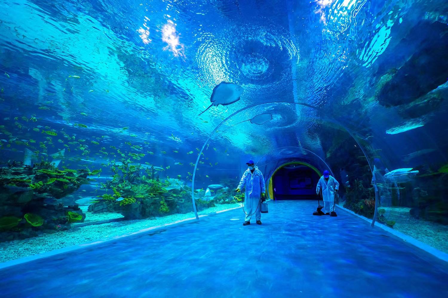 MBK Partners to acquire ocean parks from HK-listed Haichang for $1b