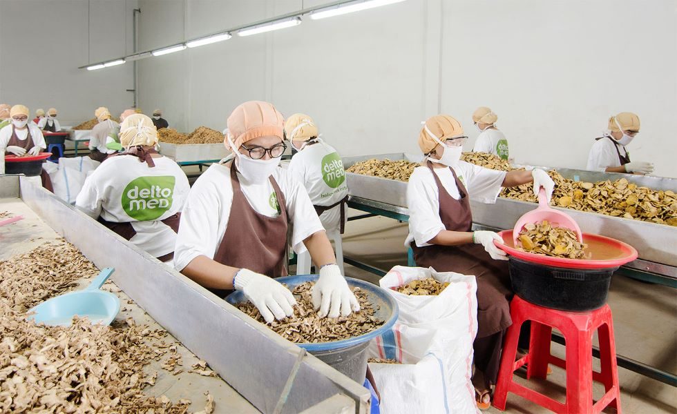Indonesian herbal medicine maker Deltomed owners said to explore sale options