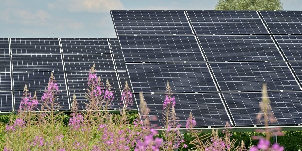 India's Avaada Energy closes $535m refinancing from state-owned lender