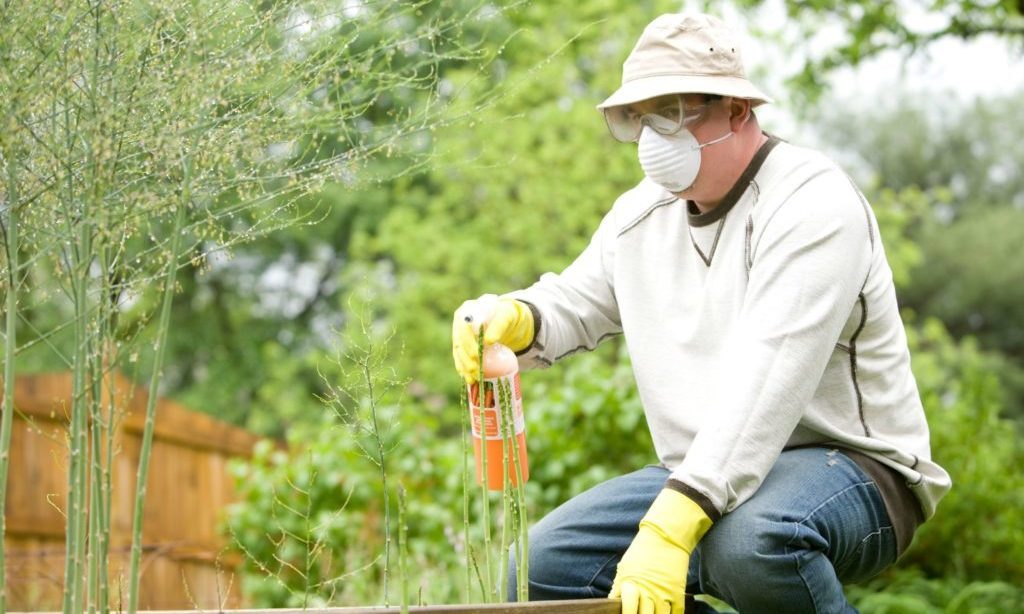 EQT buys Chinese pest control company Guardian Shanghai from Jade Invest