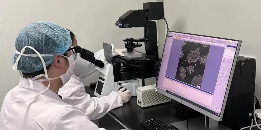 China Digest: Nutshell raises $40m Series A+ round; UniXell closes $31.5m