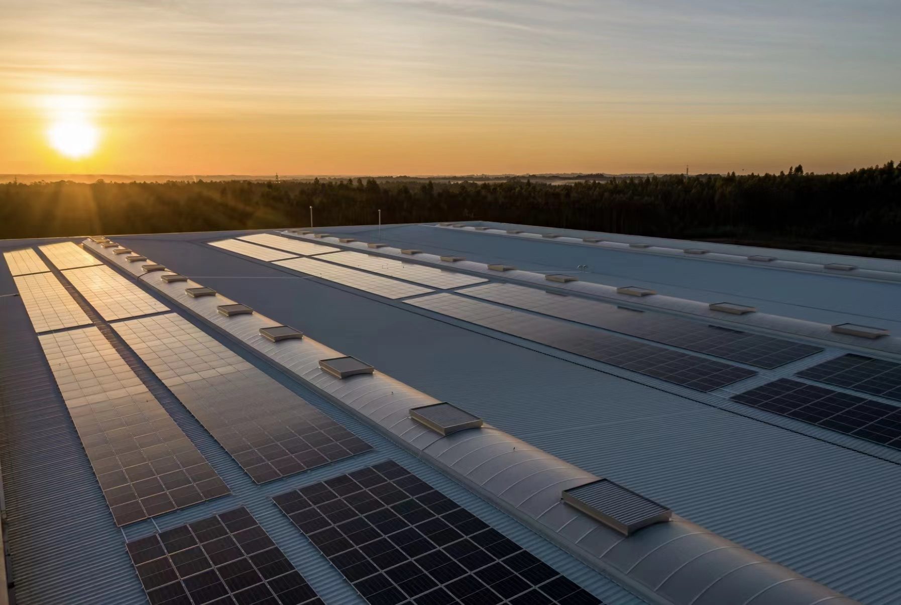 IFC weighs $125m investment in Indian solar panel provider Fourth Partner Energy