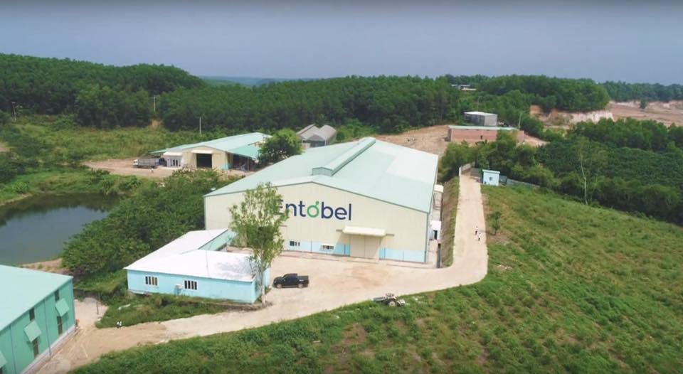 Mekong Capital puts $25m in Vietnam-based insect protein firm Entobel