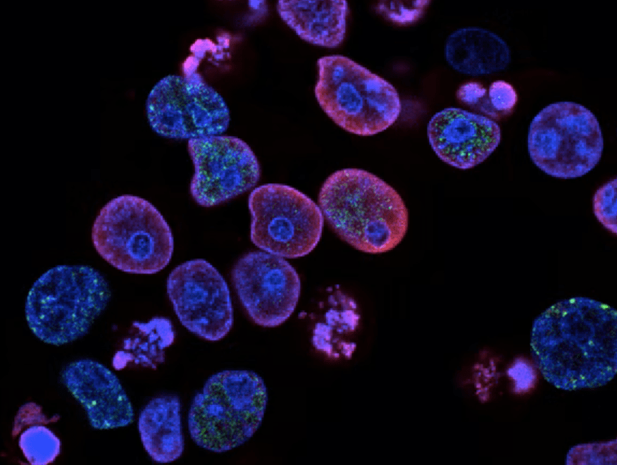 SG biotech startup Tetris Therapeutics raises $15m in seed funding from TIBS