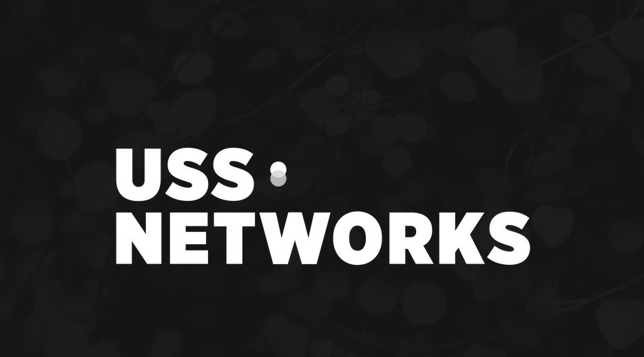 Indonesian content network USS raises funds from SALT Ventures, others