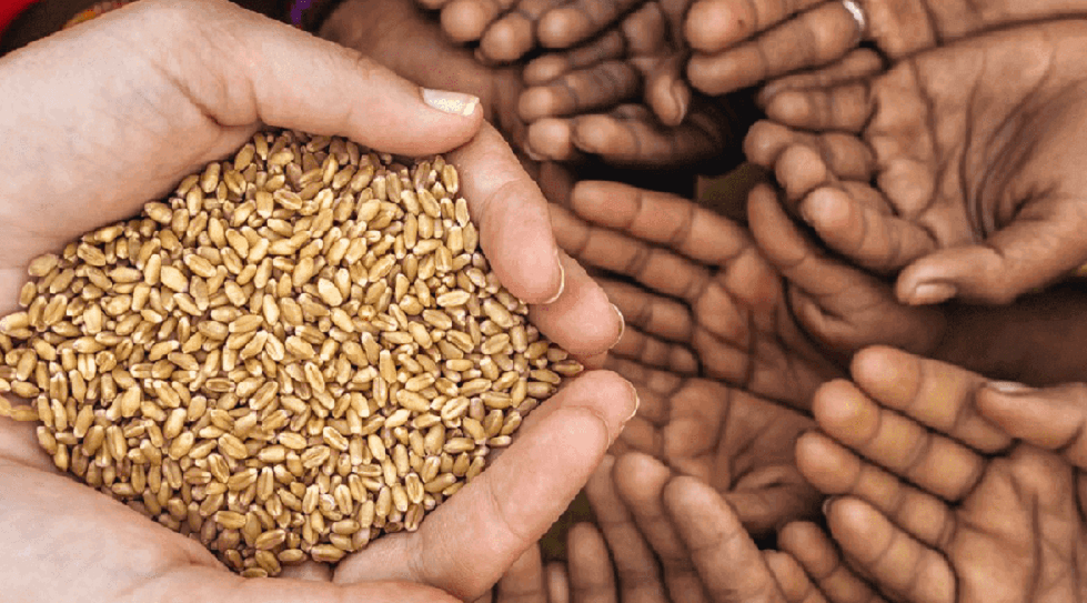 Asia Digest: responsAbility hits first close of food fund; Injective's $150m Web3 initiative