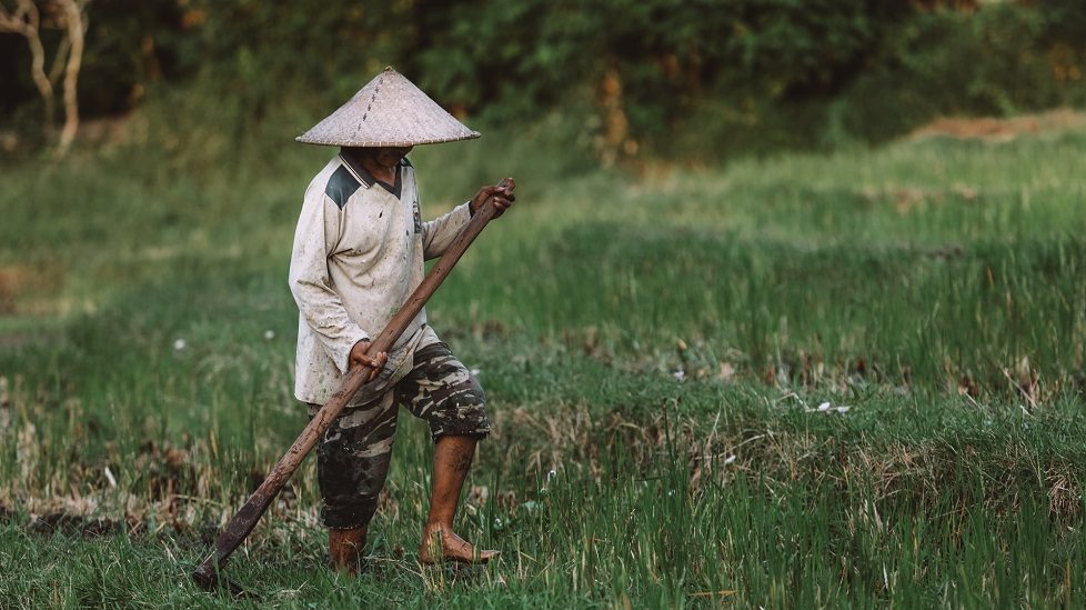 Indonesian agritech startup Semaai to raise new funding to launch financing product