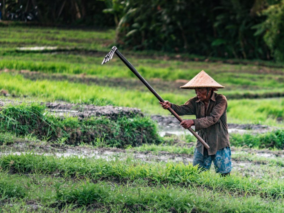 Indonesian farmer platform AgriAku raises $35m Series A led by Alpha JWC
