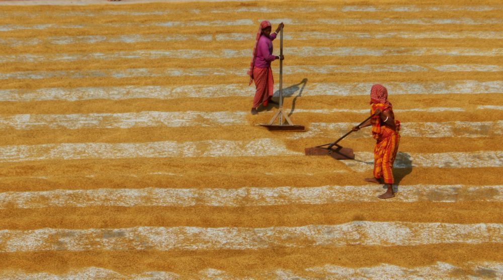 IFC mulls $35m loan package to Bangladesh’s Tanveer Foods