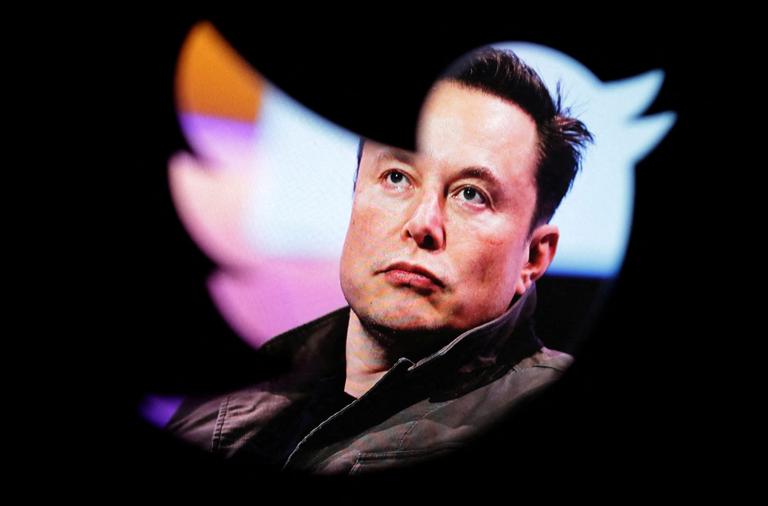 Twitter's blue bird logo to be replaced by an X, says Elon Musk
