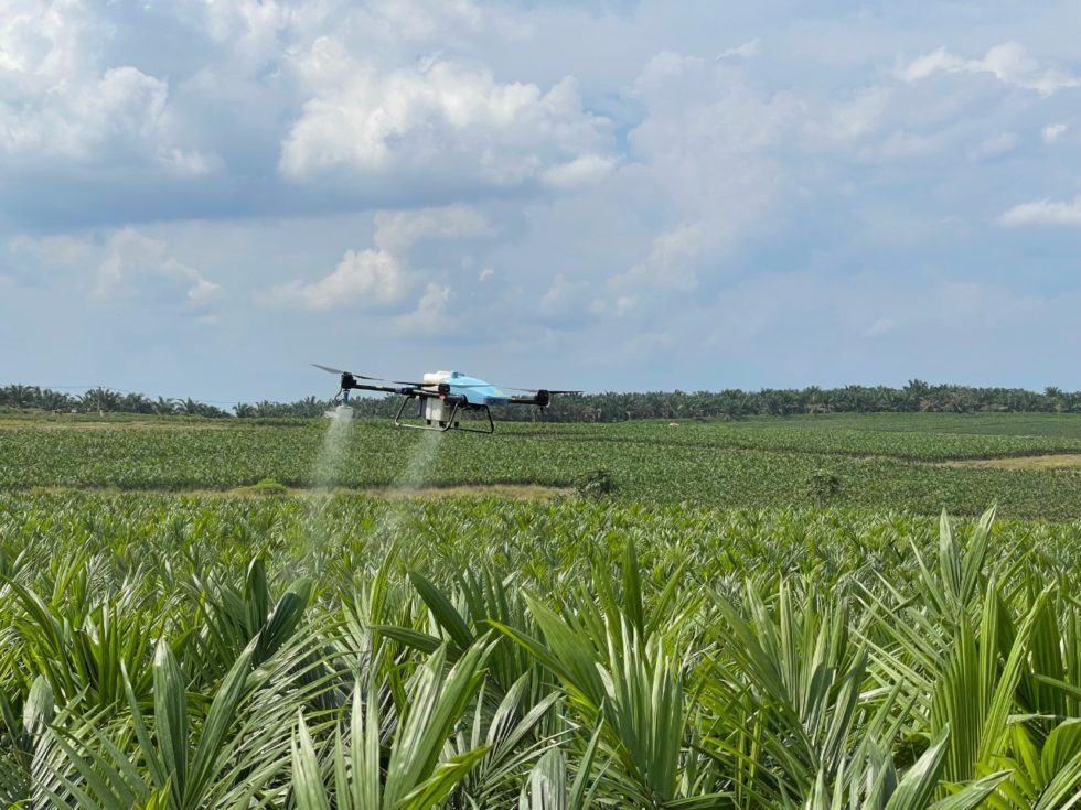 Investors continue to be bullish on Indonesia's resilient agritech sector