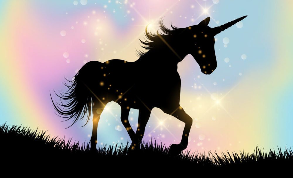 Unicorns see their green pastures drying up as investors tighten purse strings