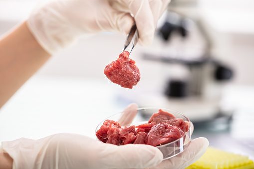 China's CellX pilots lab-grown meat production, eyes US & SG markets