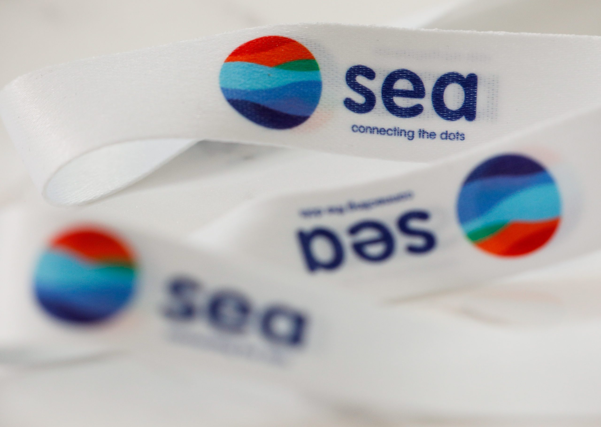 SE Asian tech giant Sea disbands investment arm