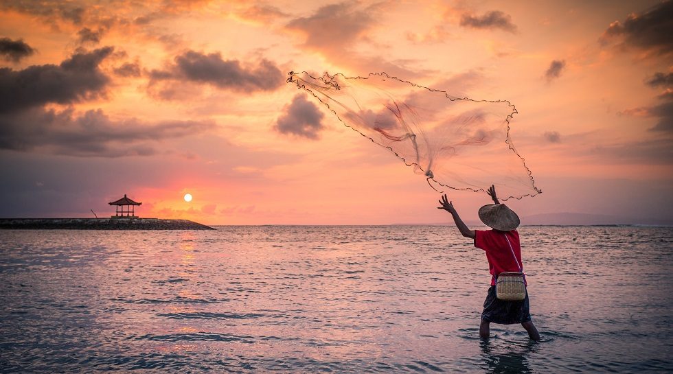 Abu Dhabi's 42XFund nets 8% stake in Indonesia's eFishery with latest investment