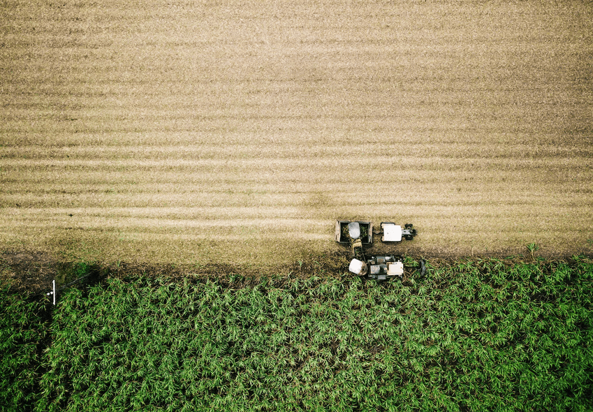 Canadian pension fund CDPQ launches $136m sustainable agri platform with CEFC