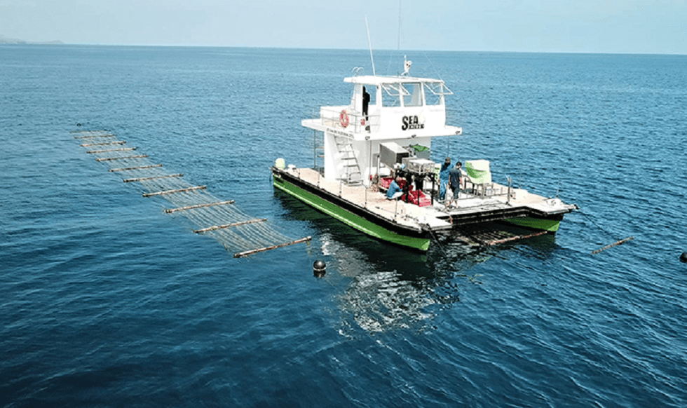 BASF in talks to make follow-on investment in Indian ocean farming startup Sea6 Energy