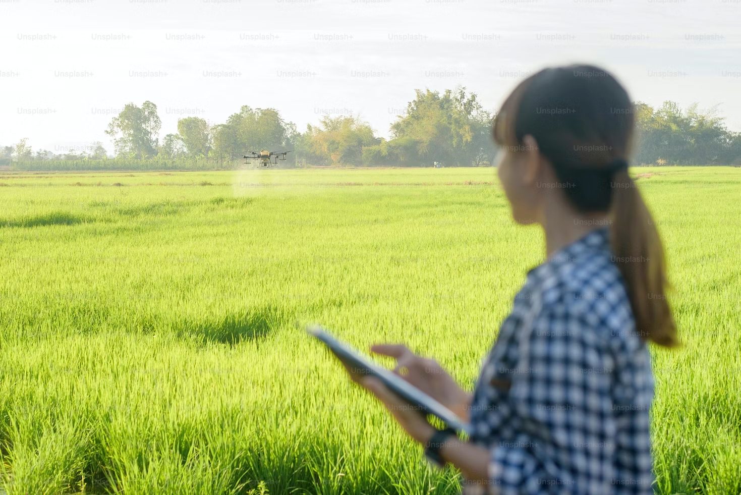 Indonesia's Beleaf, AgriAku said to have reduced up to 30% staff