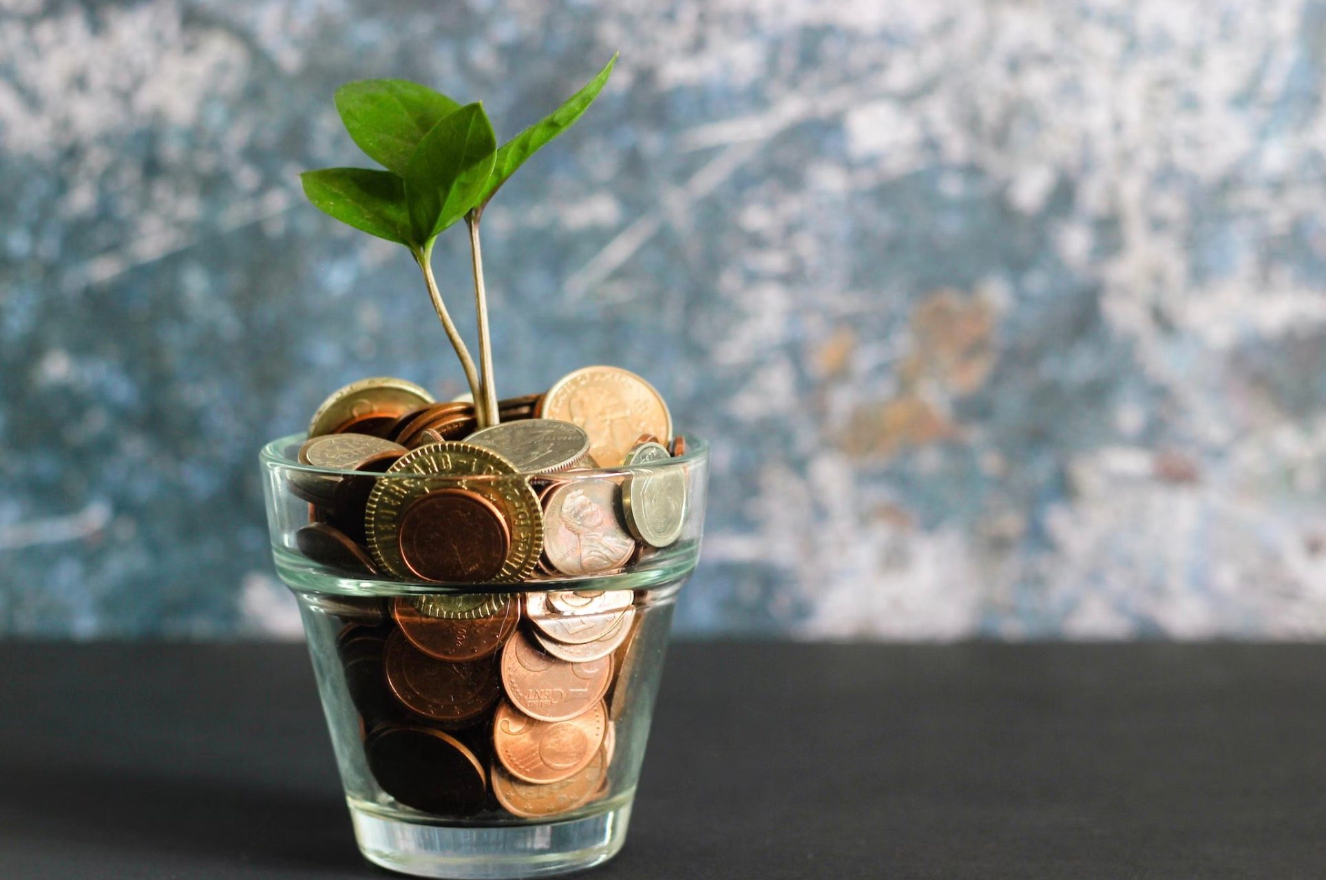 ShareChat-backer India Quotient gears up to launch two funds in 2024