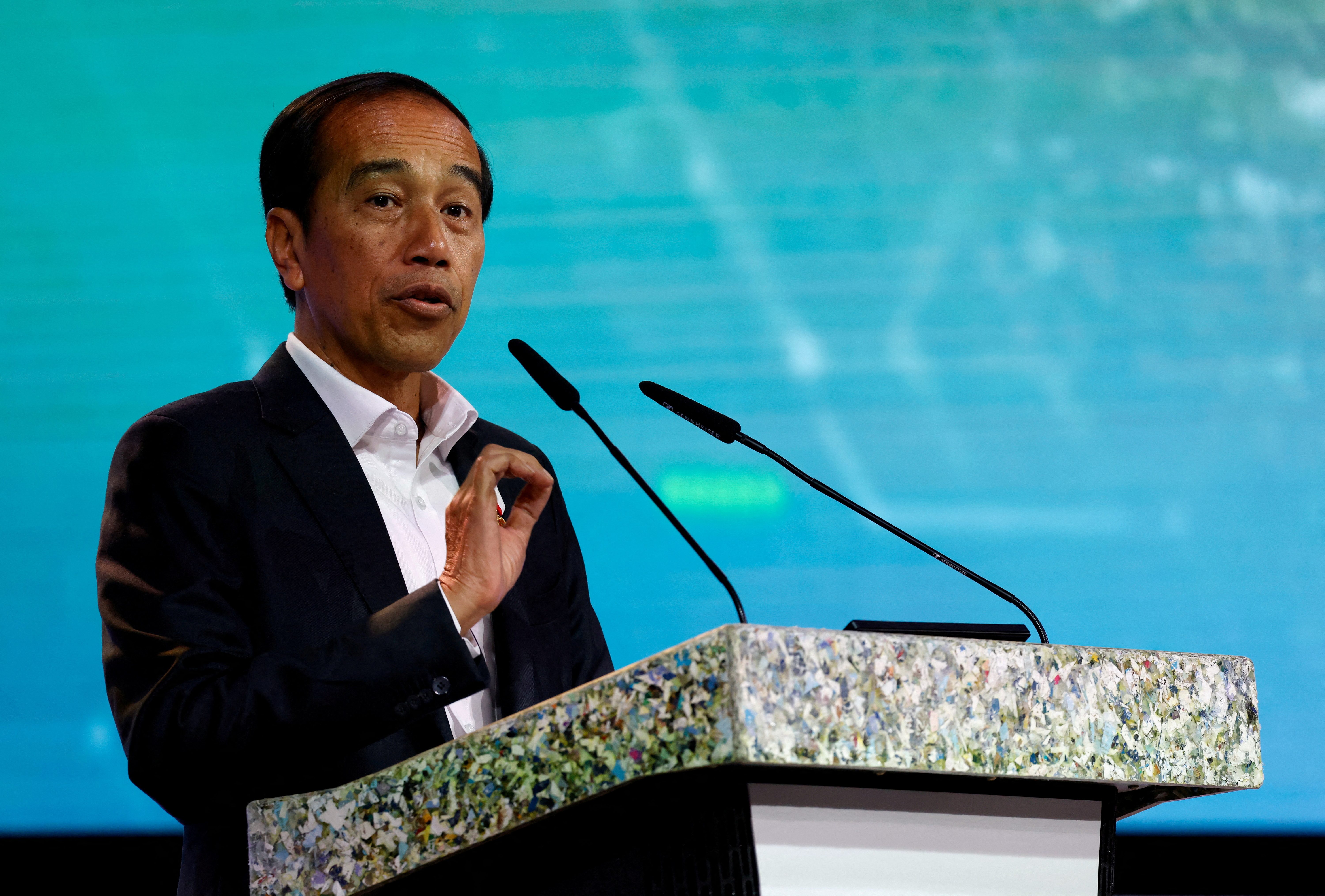 President Widodo launches carbon emissions trading in Indonesia