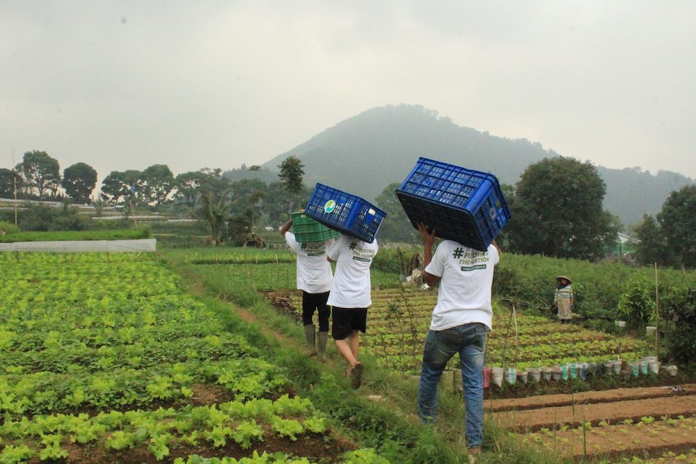 Indonesia's EdenFarm said to have conducted more layoffs, startup's viability in question