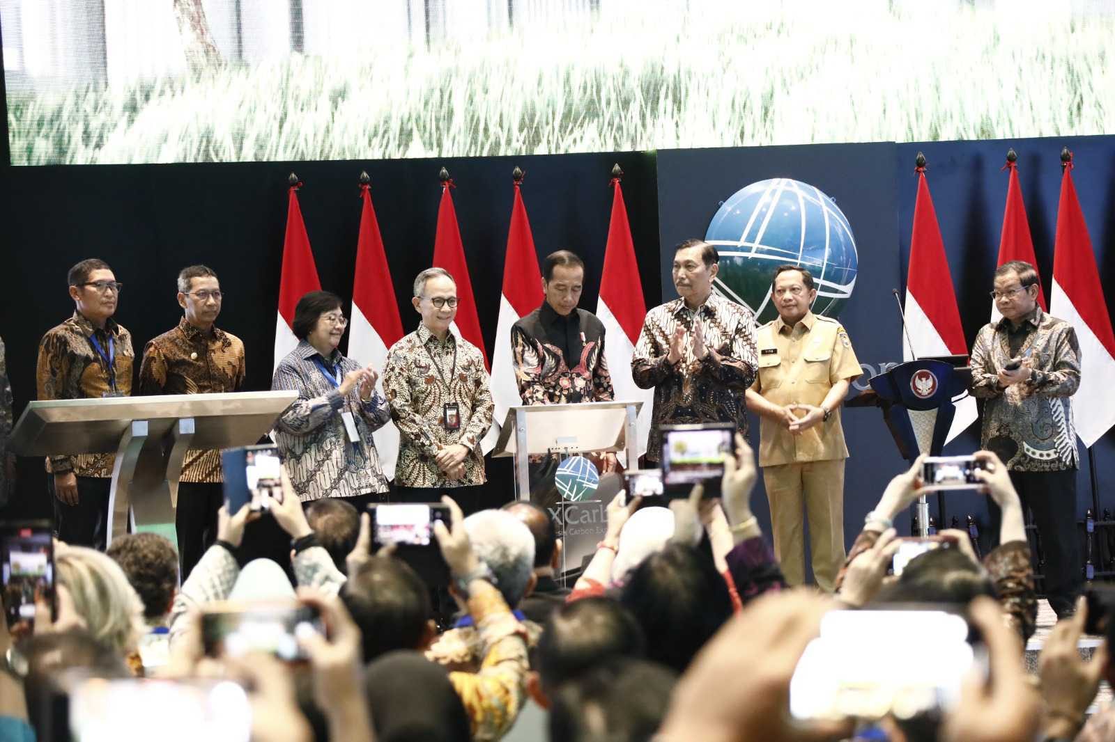 Carbon trading may help fund Indonesia's green projects in future