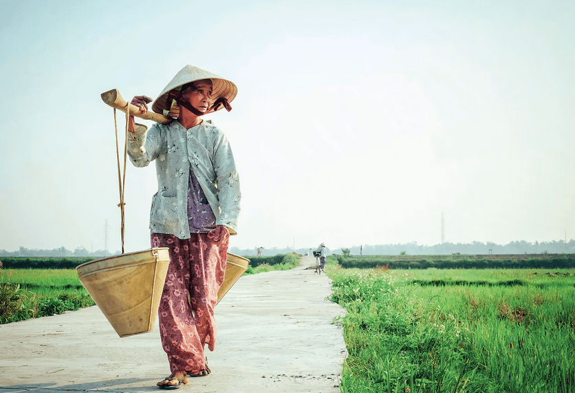 FMO mulls $90m financing facility to Vietnamese agri firm Loc Troi