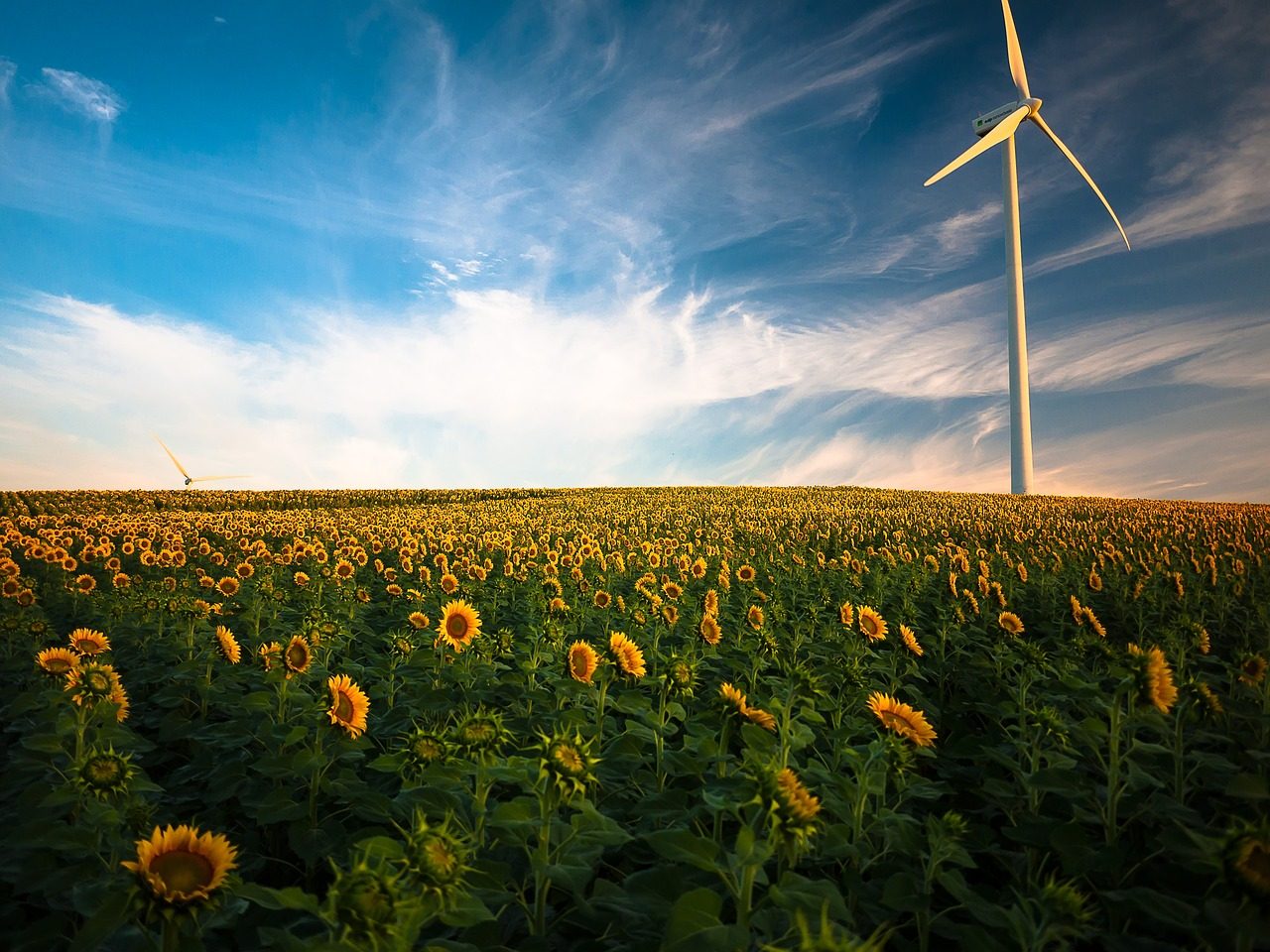 India's Avaada Energy raises $143 in green financing from state lender SBI