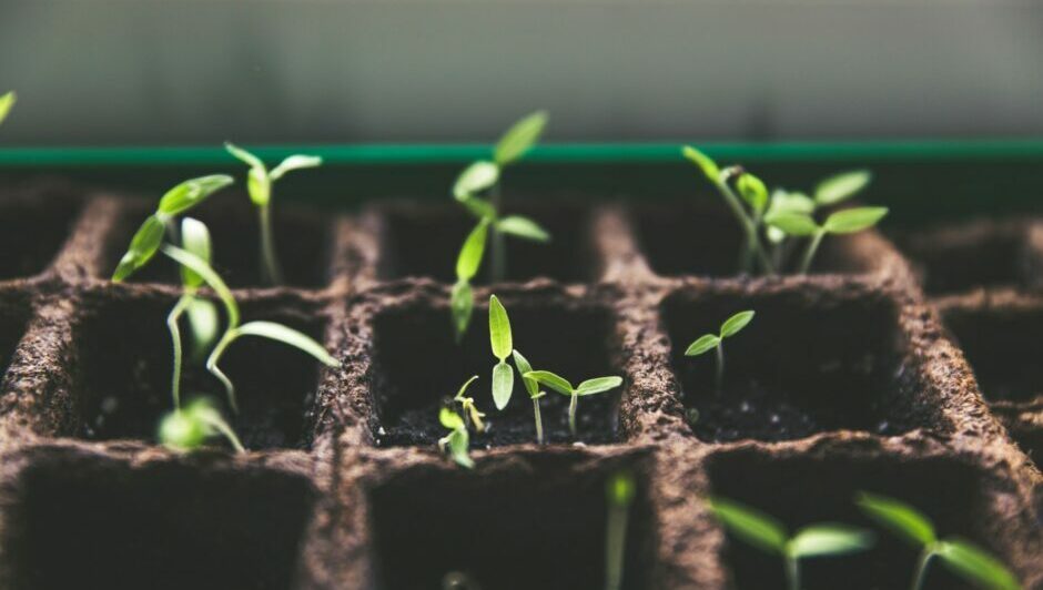 Early-stage startups felt the chill in 2023, but the funding winter may soon blow over