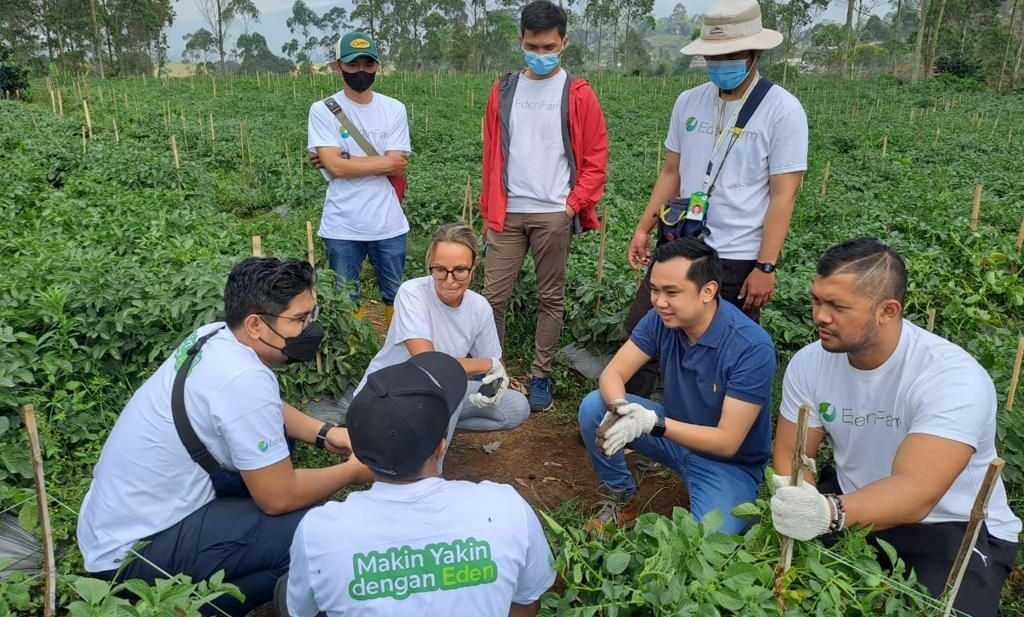 Indonesian agritech EdenFarm said to be in talks for potential acquisition, pauses operations