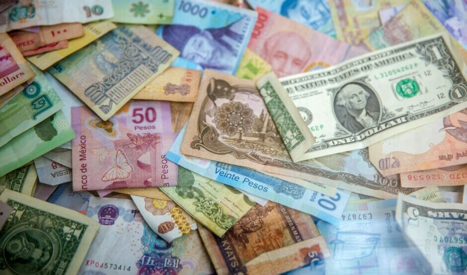 BluSmart-backer IVY Growth launches $30m new India fund