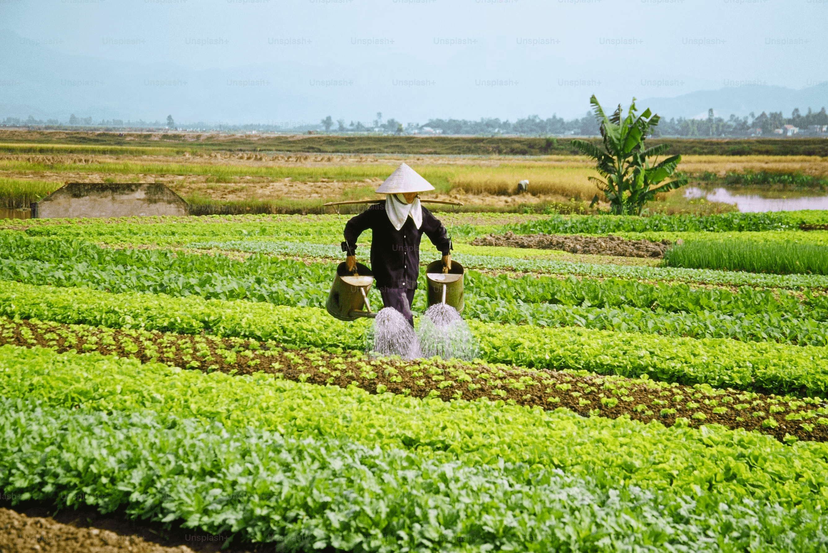 Vietnamese agritech startup Techcoop raises $5m in equity and debt