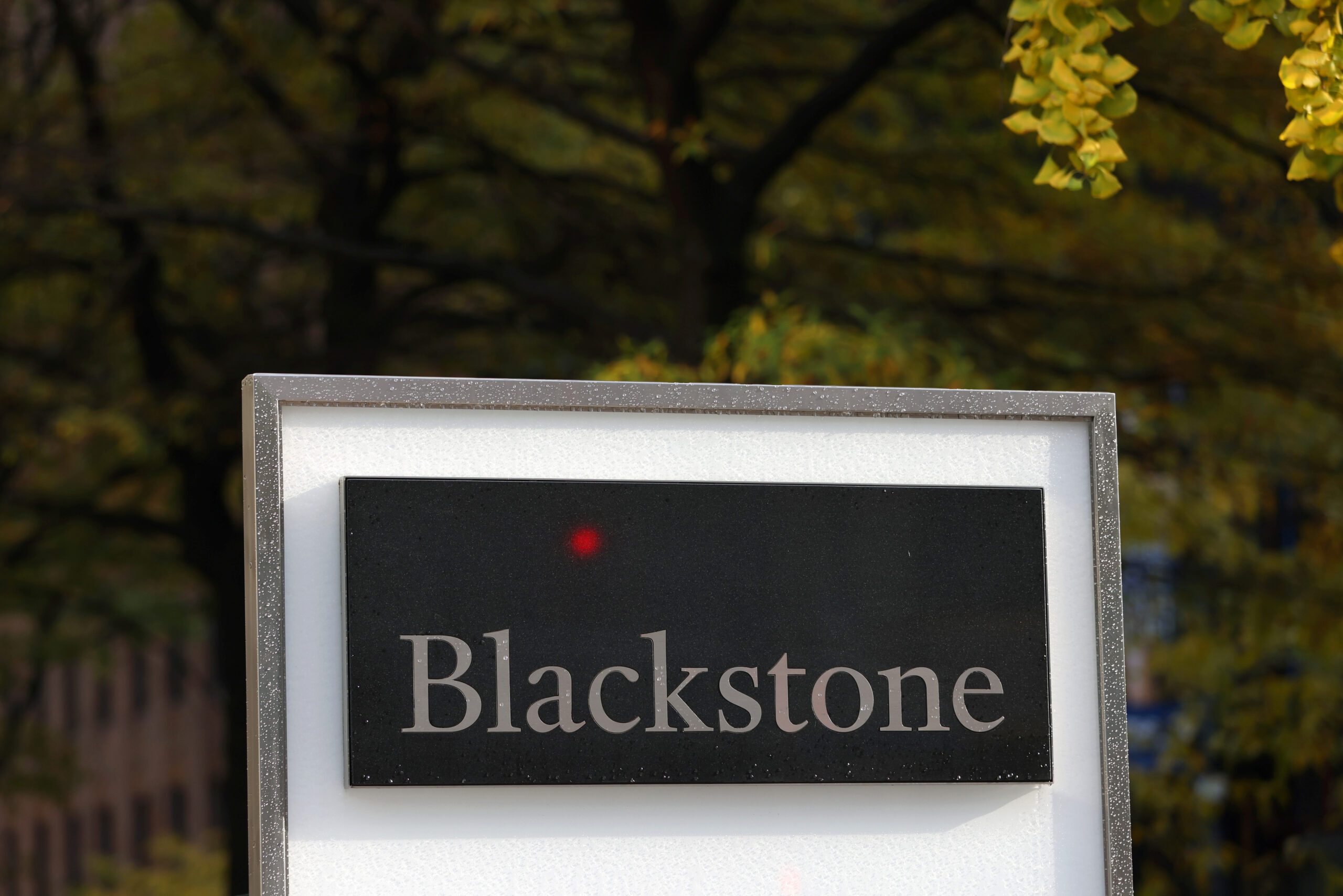 Blackstone offloads 25% stake in Indian packaging firm EPL for $220m