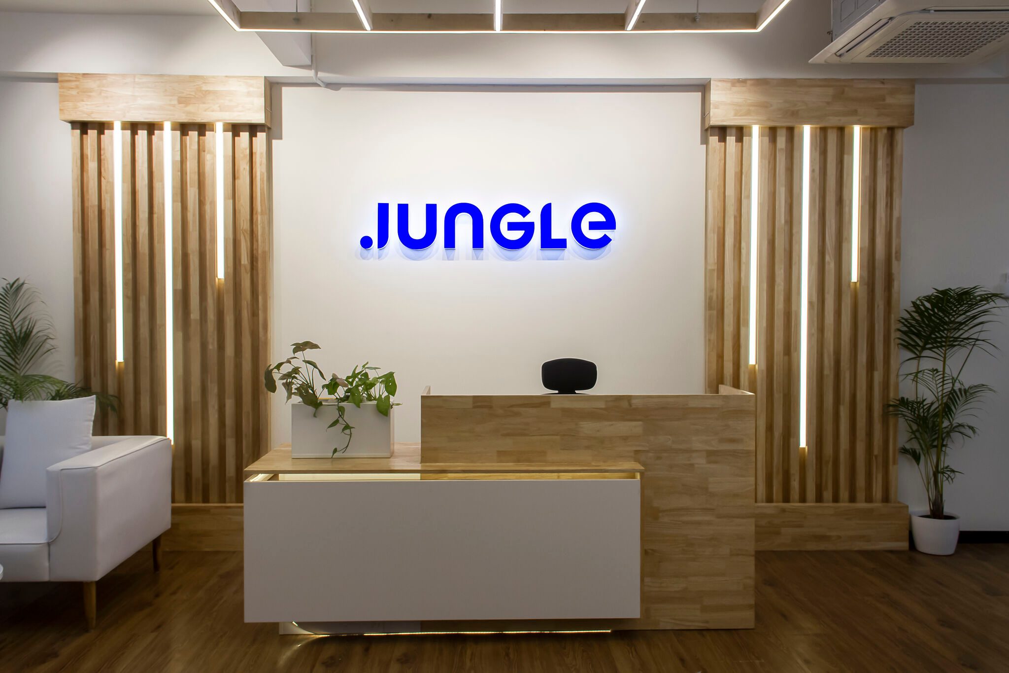 Singapore's Jungle Ventures said to target $600m for latest fund