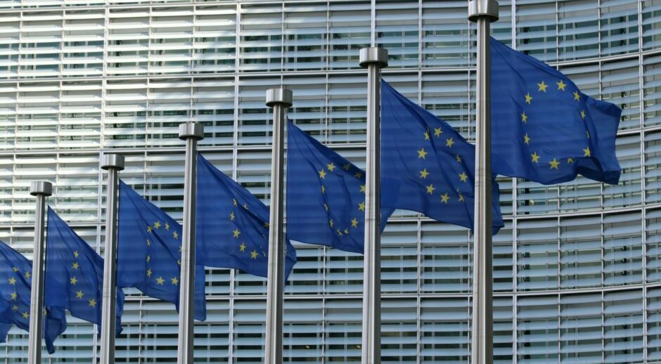EU regulators ask Temu, Shein to provide info on content rules compliance by July 12