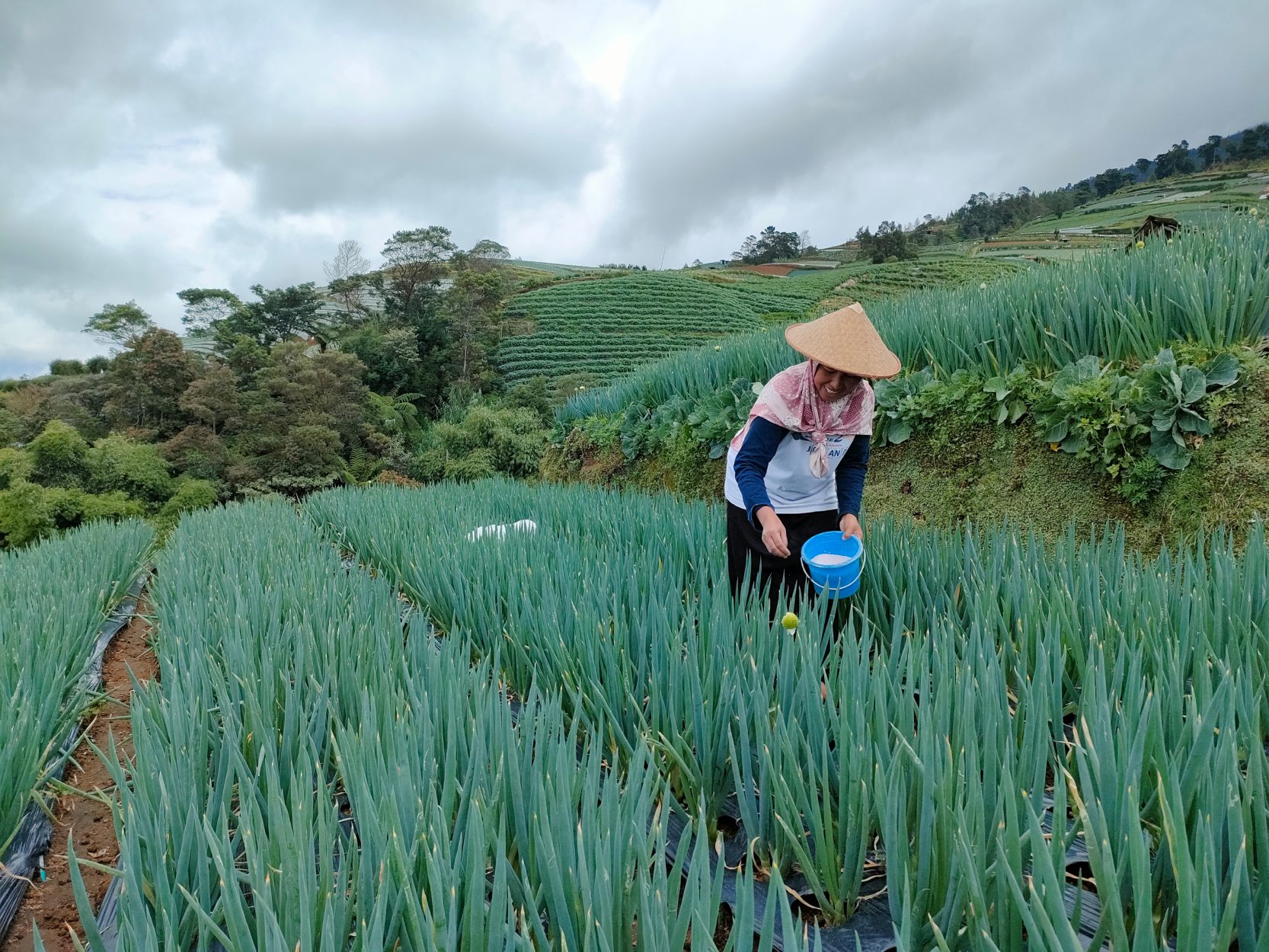 SEA Digest: Indonesia's Elevarm secures $1m commitment; Choco Up partners with Set Sail AI